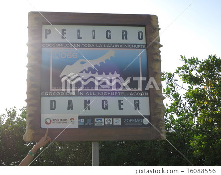 Crocodile attention sign Crocodile attention sign 16088556