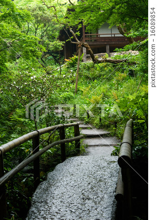 Sankeien 16089854
