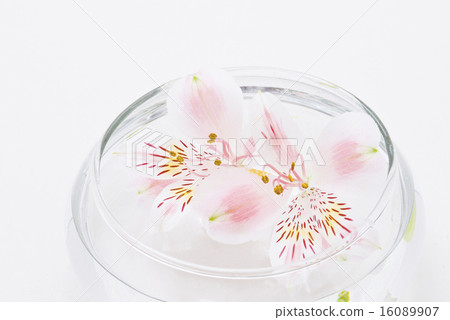 Flowers floating on water Flowers floating on water 16089907
