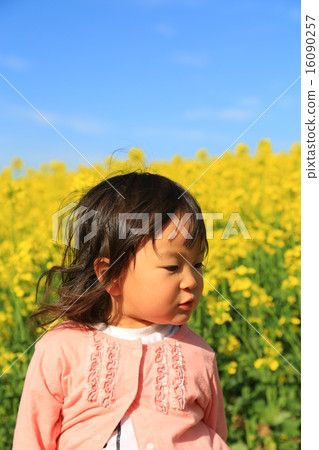 Rape flowers and girls Rape flowers and girls 16090257