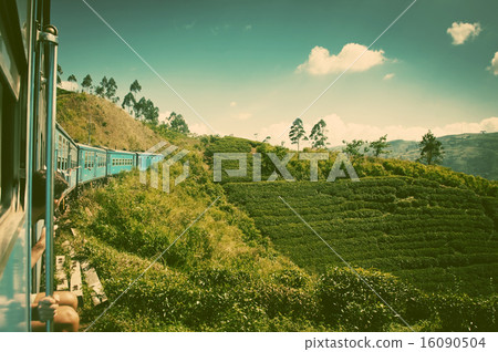 train from Nuwara Eliya to Kandy  16090504