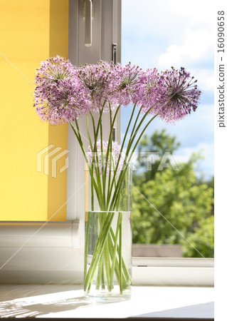 Flowers On Window-Sill 16090658