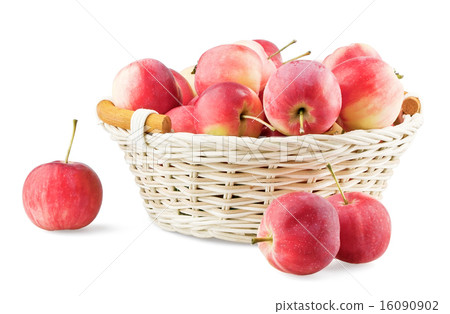 Overfull backet with mini apples 16090902