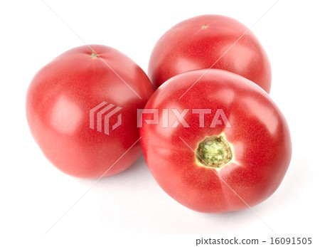 Three tomatoes Three tomatoes 16091505