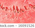 Texture of watermelon with seeds 16091526