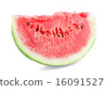 Slice of juicy melon 16091527