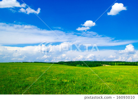 field field 16093010