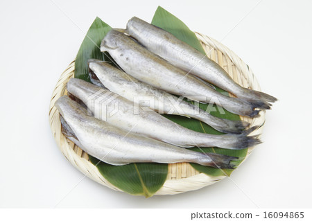 Hokkaido product rounded shochui Hokkaido product rounded shochui 16094865