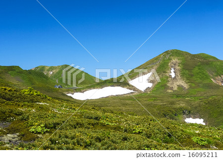 新鮮的綠色秋田Komagatake 16095211