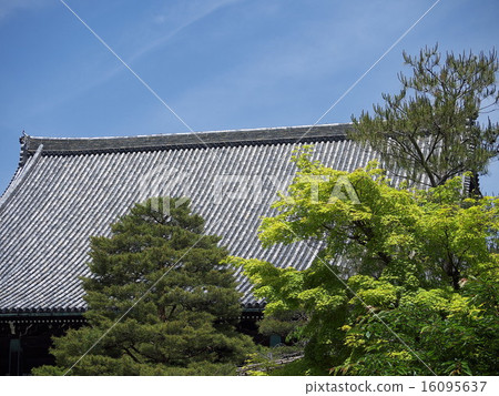 Saga Shakado of fresh green Saga Shakado of fresh green 16095637