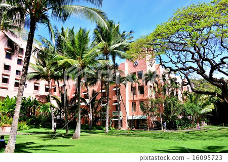 Holidays in Hawaii 16095723