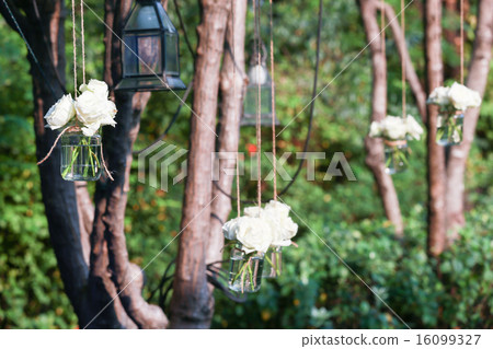 White roses in a glass vase 16099327