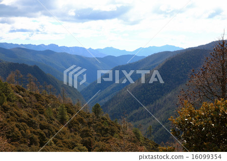 Rainforest Mountain Rainforest Mountain 16099354