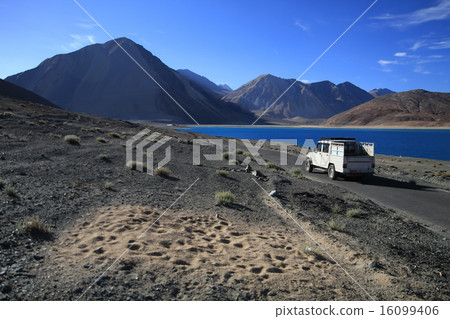 Pangong Lake 16099406