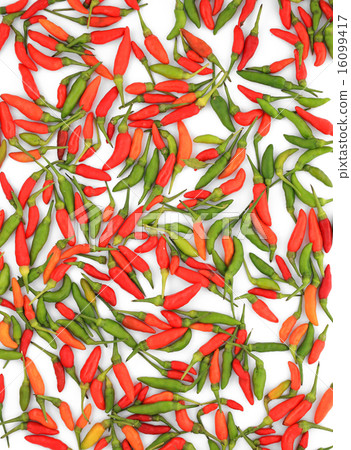 Green and red chili pepper 16099417