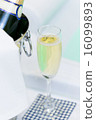 Champagne and Jacuzzi Spa 16099893