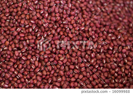 Azuya Ootomi Tanba 16099988