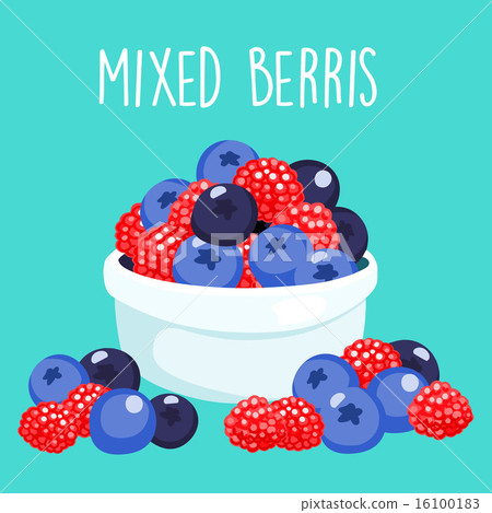 fresh mixed berries sprout in white bowl vector fresh mixed berries sprout in white bowl vector 16100183