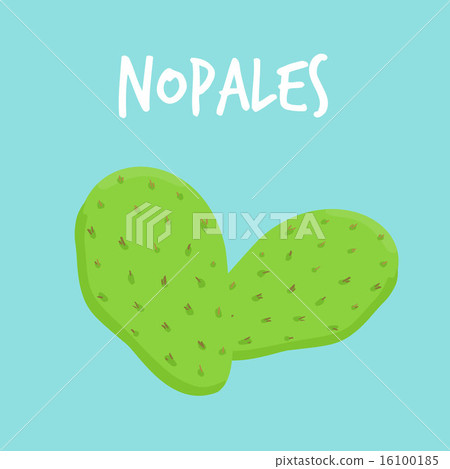 leaves of a prickly pear cactus call nopales 16100185