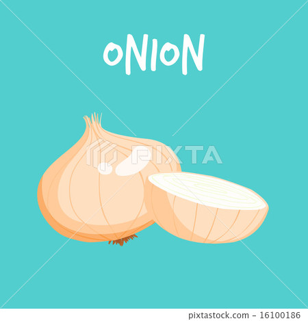 one and a half piece one and a half piece 16100186