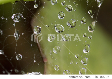 A drop A drop 16100206