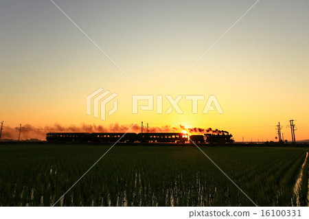 SL of sunset 16100331