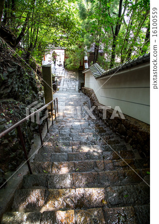 Kurama-dera在夏天，在Okunoin方法的石階 16100559