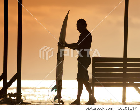 Surfer  at Sunset Tme 16101187