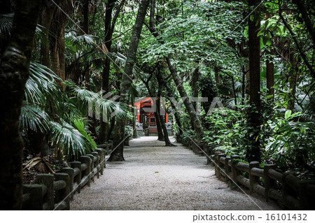 青島神社 16101432