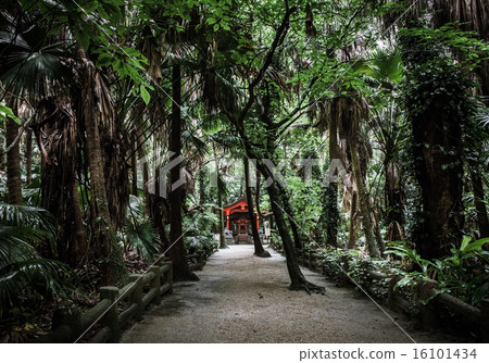 青島神社 青島神社 16101434
