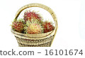 rambutan 16101674