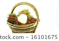 rambutan 16101675