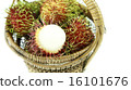 rambutan 16101676