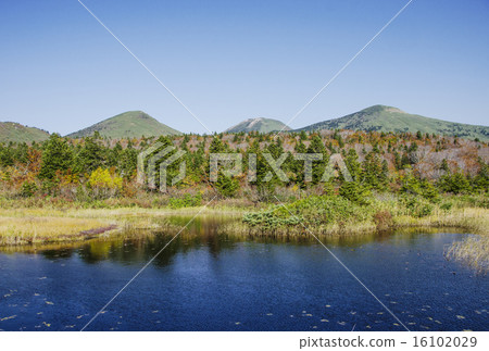 Scenery of Mt. Hakkoda, Autumn leaves at Suiren Marsh, Aomori tourist attractions in autumn, Tohoku tourist attractions Scenery of Mt. Hakkoda, Autumn leaves at Suiren Marsh, Aomori tourist attractions in autumn, Tohoku tourist attractions 16102029