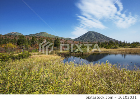 Autumn foliage scenery of Mt. Hakkoda, scenery of Suiren Marsh, autumn tourist attractions in Aomori, tourist spots in Tohoku Autumn foliage scenery of Mt. Hakkoda, scenery of Suiren Marsh, autumn tourist attractions in Aomori, tourist spots in Tohoku 16102031