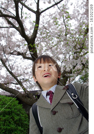 小學生和櫻花(入口圖片) 小學生和櫻花(入口圖片) 16102169
