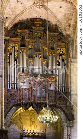 Organ with pipes 16103052
