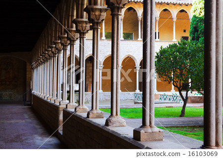 Gothic cloister of Pedralbes Monastery 16103069