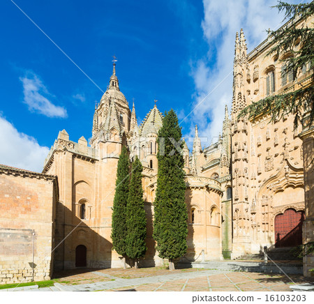 Cathedral of Salamanca in sunny day 16103203