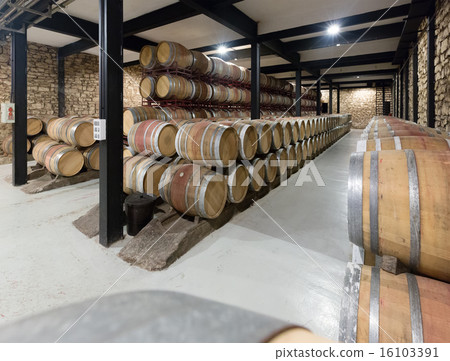 wooden barrels in winery 16103391