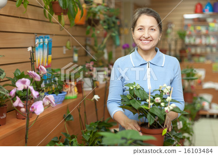 Happy mature woman at flower store 16103484