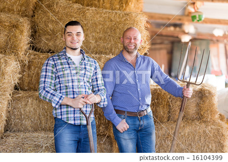 Two farm workers in hayloft Two farm workers in hayloft 16104399