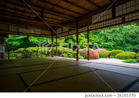 Kyoto Shiseido Japanese Garden 16105770