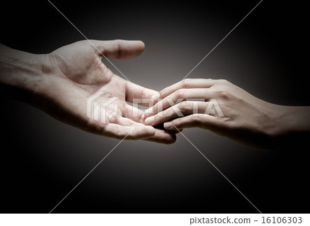 Solidarity 16106303