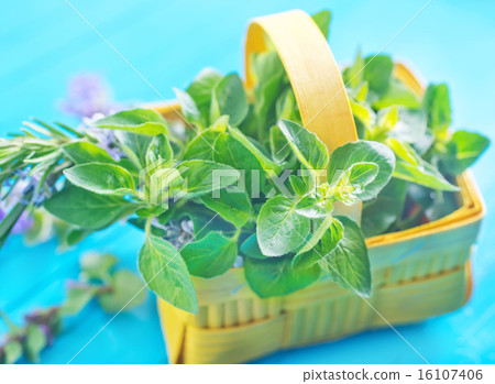 aroma herb aroma herb 16107406