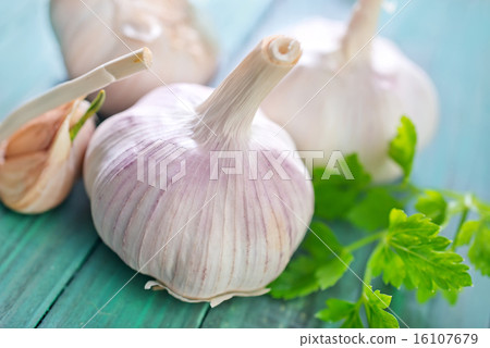 garlic 16107679