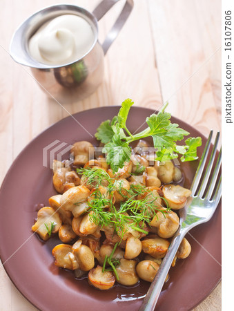 fried mushrooms 16107806