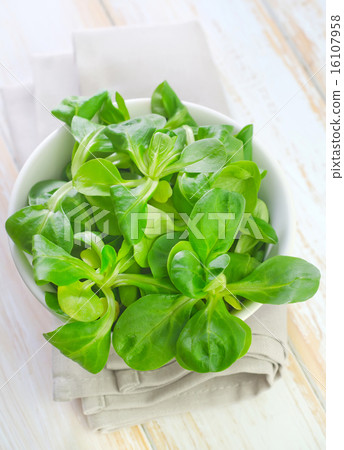 cornsalad cornsalad 16107958