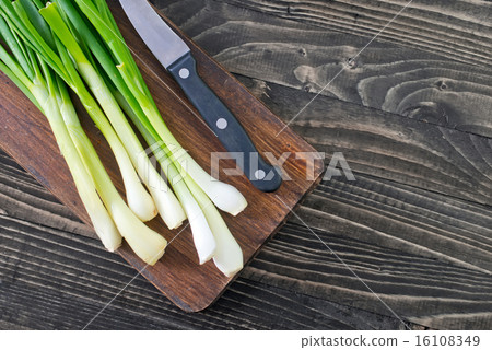 green onion green onion 16108349