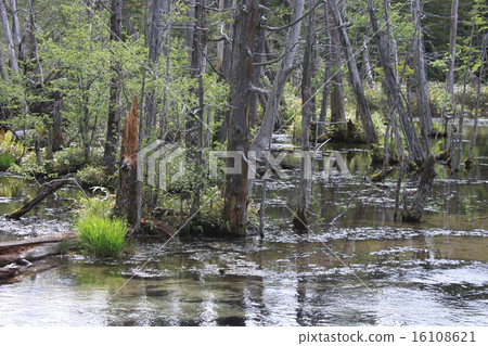 Kamikochi Mirara Clearstream 16108621